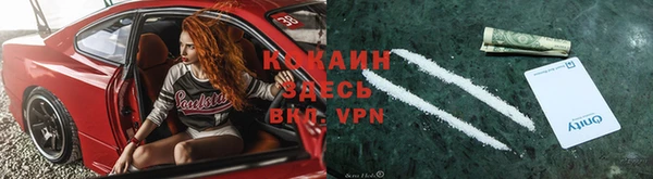 винт Алексин