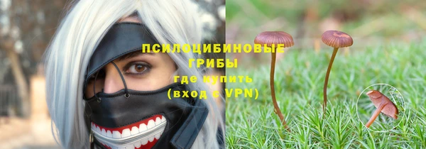 прущая мука Алзамай