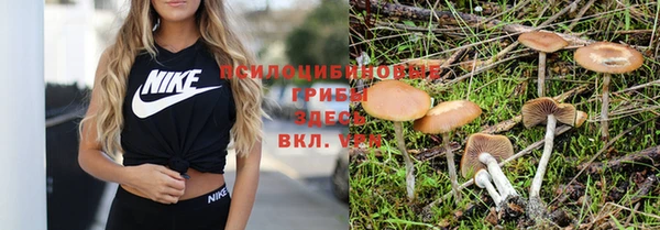 винт Киренск