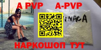 кокс Кингисепп