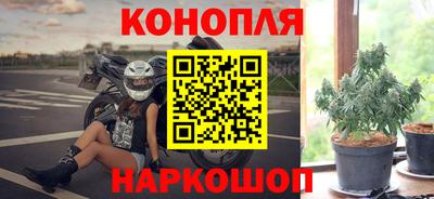 кокс Кингисепп