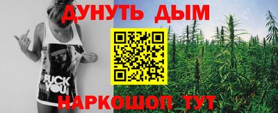 кокс Кингисепп