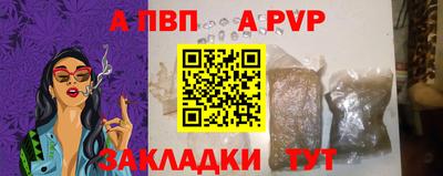 кокс Кингисепп