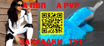 кокс Кингисепп