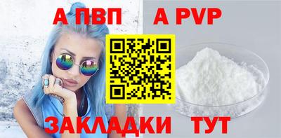 кокс Кингисепп