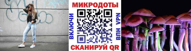 kraken сайт  Георгиевск  Галлюциногенные грибы прущие грибы  даркнет сайт 